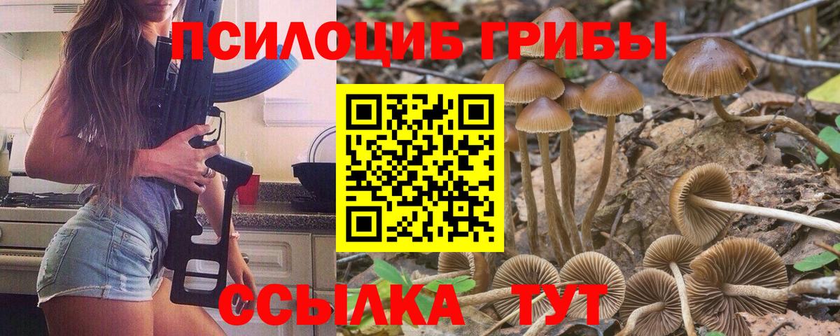 цены наркотик  Вход с VPN  Тимашёвск  Галлюциногенные грибы ЛСД 