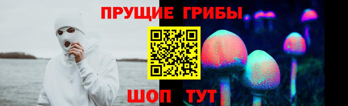 Псилоцибиновые грибы MAGIC MUSHROOMS Тимашёвск